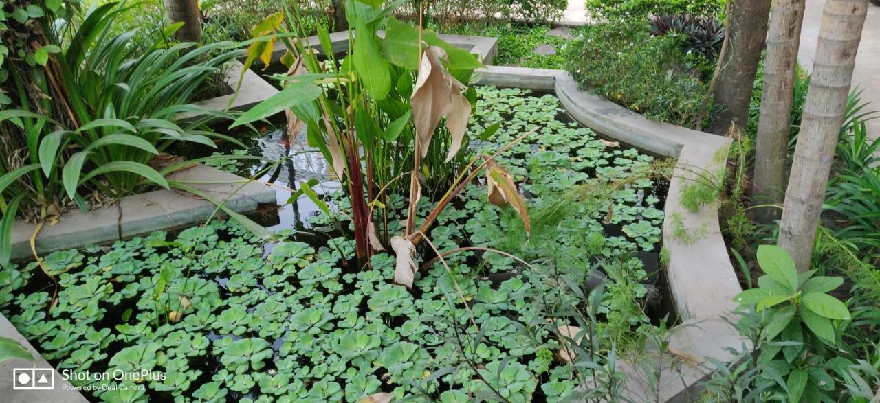 Home Sweet Home Siem Reap Exterior photo
